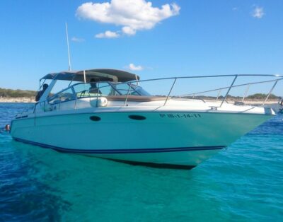 Sea Ray Sun Sport