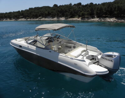 Stingray 234lr