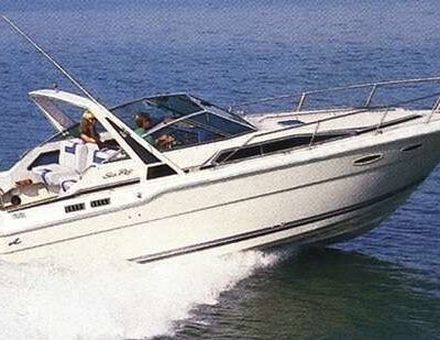 Sea Ray 300