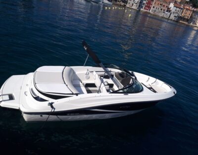 Sea Ray 190 Sport