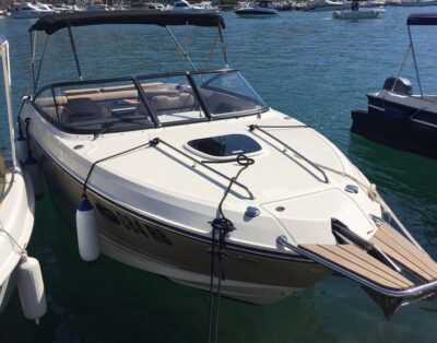 Sea Ray 250 SS