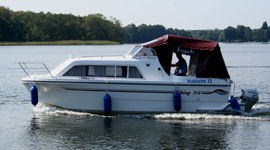 Viking 215