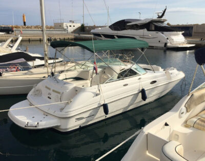 Chaparral 233 Sunesta