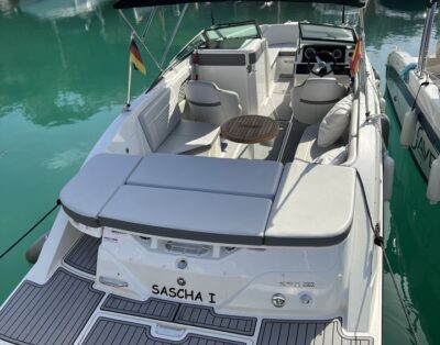 Sea Ray 230