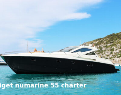 Numarine 55